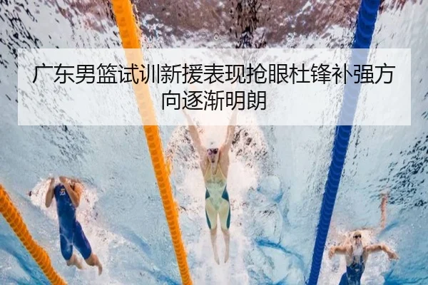 广东男篮试训新援表现抢眼杜锋补强方向逐渐明朗 - JXTY